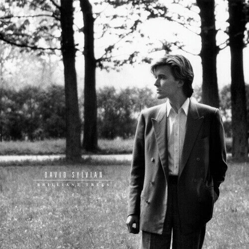 David Sylvian - Brilliant Trees - LP [ Record ]