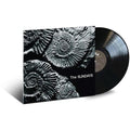 The Sundays - Reading, Writing And Arithmetic - LP [ Record ]