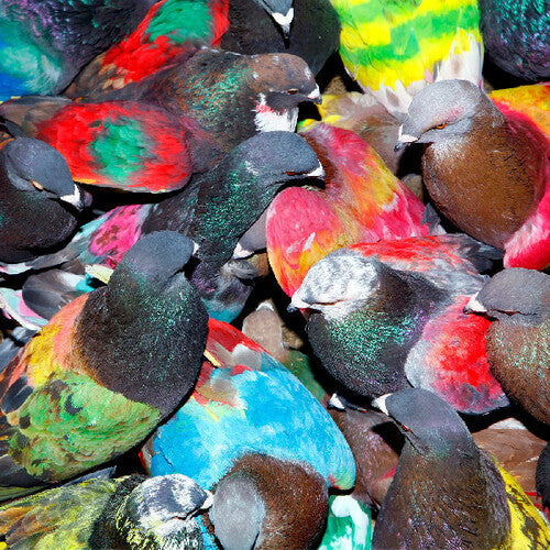 Blawan: Sickelixir [ Vinyl ]