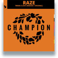 Raze: Break 4 Love (2025 Remixes) - 12-INCH SINGLE