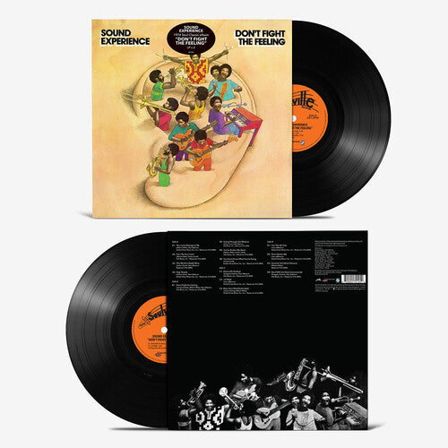 Sound Experience - Don't Fight the Feeling - LP [ Record ]