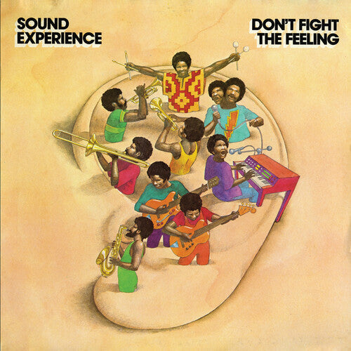 Sound Experience - Don't Fight the Feeling - LP [ Record ]