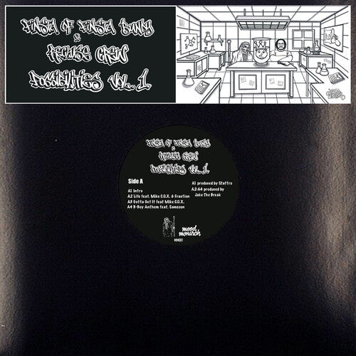 Finsta & Recluse Crew: Possibilities Vol.1 [ Vinyl ]