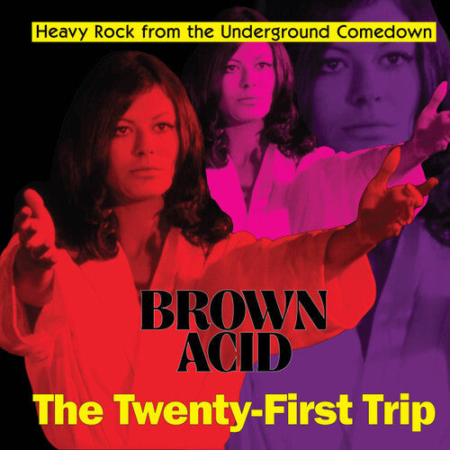 Various Artists - Brown Acid: The Twenty-First Trip - LP [ Record ]