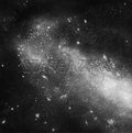 Stargazers: Stargazers - VINYL