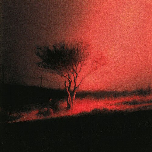 Joji - Piss In The Wind - LP [ Record ]