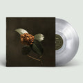 St. Paul & the Broken Bones: Young Sick Camellia - VINYL