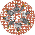 Kora Koumakan: Tourama Niwale (Tigerbalm Remix) - 12-INCH SINGLE