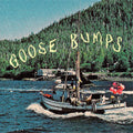 Boyscott: Goose Bumps (BLUE MARBLE VINYL) - VINYL