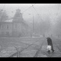 Vadim Neselovskyi: Perseverantia - CD