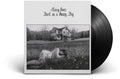 Maisy Owen: Dark on a Sunny Day [ Vinyl ]