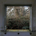 Derek Hunter Wilson: Sculptures [ Vinyl ]