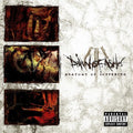 Dawn of Ashes: Anatomy Of Suffering - VINYL