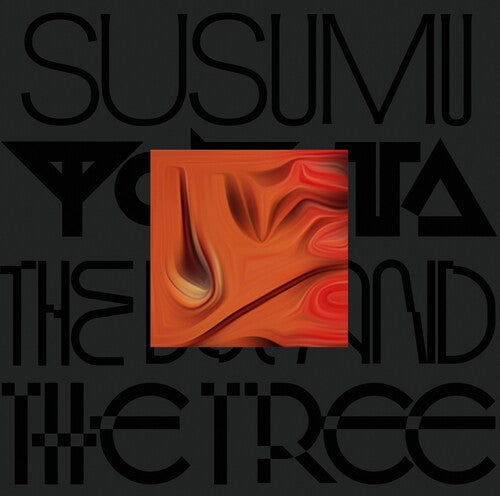 Susumu Yokota: The Boy And The Tree - Skintone [ Vinyl ]