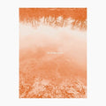 Brad E Rose: Sound Leaves - COMPACT DISCS