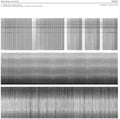 Christina Kubisch: TUNING [ Vinyl ]