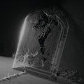 Visible Cloaks: Paradessence [ Vinyl ]