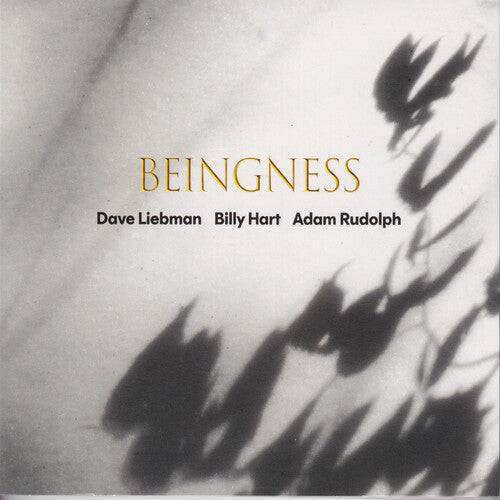 Dave Leibman: Beingness - VINYL