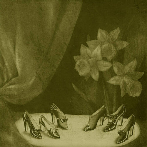 Alice Cohen: Into The Grey Salons [ Vinyl ]