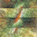 Active Surplus: Mirroring [ Vinyl ]
