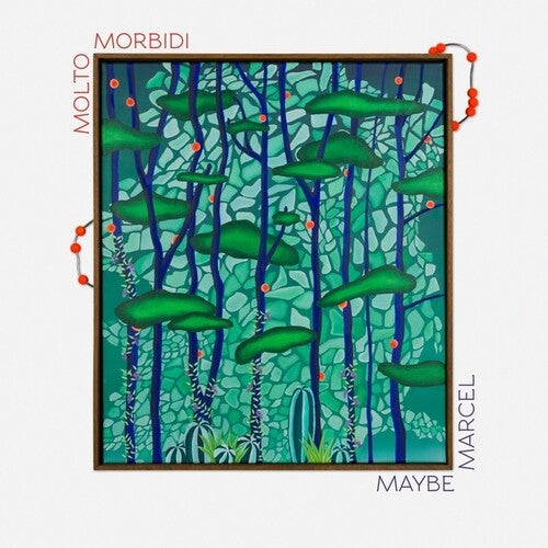 Molto Morbidi: Maybe Marcel [ Vinyl ]