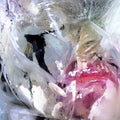 Late Bush: Hoarses [ Vinyl ]