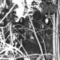 Thou Shalt Suffer: Into The Woods Of Belial - CASSETTES