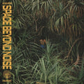 Not Even Noticed: Space Beyond Noise [ Vinyl ]
