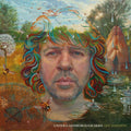 Ady Johnson: Under Gainsborough Skies [ Vinyl ]