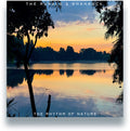 Rurals & Shamrock: The Rhythm Of Nature - VINYL