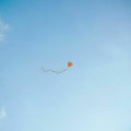 Chris Stussy: Lost, Found & Forgotten [ Vinyl ]