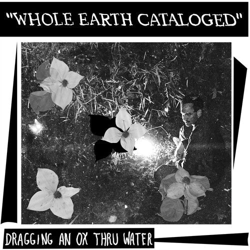 Dragging An Ox Through Water: Whole Earth Catalogued [ Vinyl ]