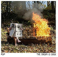 PUP: The Dream Is Over - CASSETTES