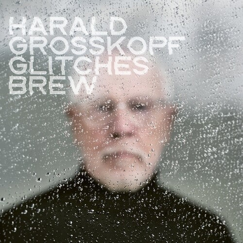 Harald Grosskopf: Glitches Brew [ Vinyl ]