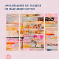 Aved, Janos / Six, David / Weber, Tilo: The Transcendent Triptych - CD