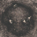 Pure Wrath: Bleak Days Ahead - CD