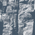 Driftwood: Maps - COMPACT DISCS