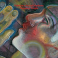 Planetary Assault Systems: Planetary People [ Vinyl ]