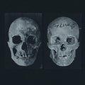 Government Alpha: The Human Race Was Restored To Life Repeatedly [ Vinyl ]