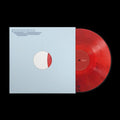 Windwaker: smile, you're on camera - VINYL