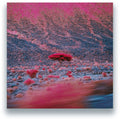 O'Flynn: Kairos [ Vinyl ]
