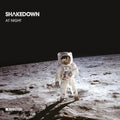 The Shakedown: At Night - 12-INCH SINGLE