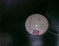 The Rose Brothers: Easy Love - 12-INCH SINGLE