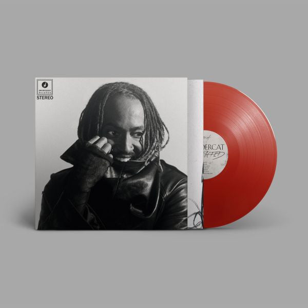 Thundercat - Distracted - LP [ Record ]