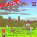 Mr. Mister: Welcome to the Real World - CD