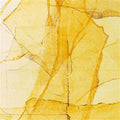 Wadada Leo Smith & Amina Claudine Myers - Central Park's Mosaics of Reservoir, Lake, Paths and Gardens - Indie LP [ Record ]