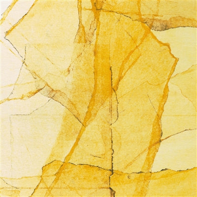 Wadada Leo Smith & Amina Claudine Myers - Central Park's Mosaics of Reservoir, Lake, Paths and Gardens - Indie LP [ Record ]