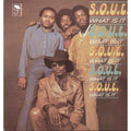 S.O.U.L. - Soul What Is It - Import LP [ Record ]