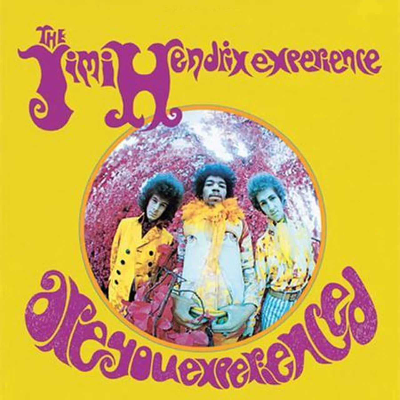 The Jimi Hendrix Experience - Are You Experienced? - Analogue Productions SACD [ Record ]
