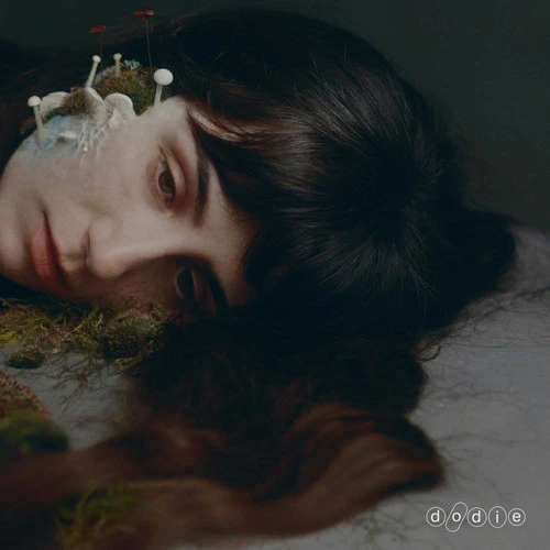 dodie - Not For Lack Of Trying - LP [ Record ]
